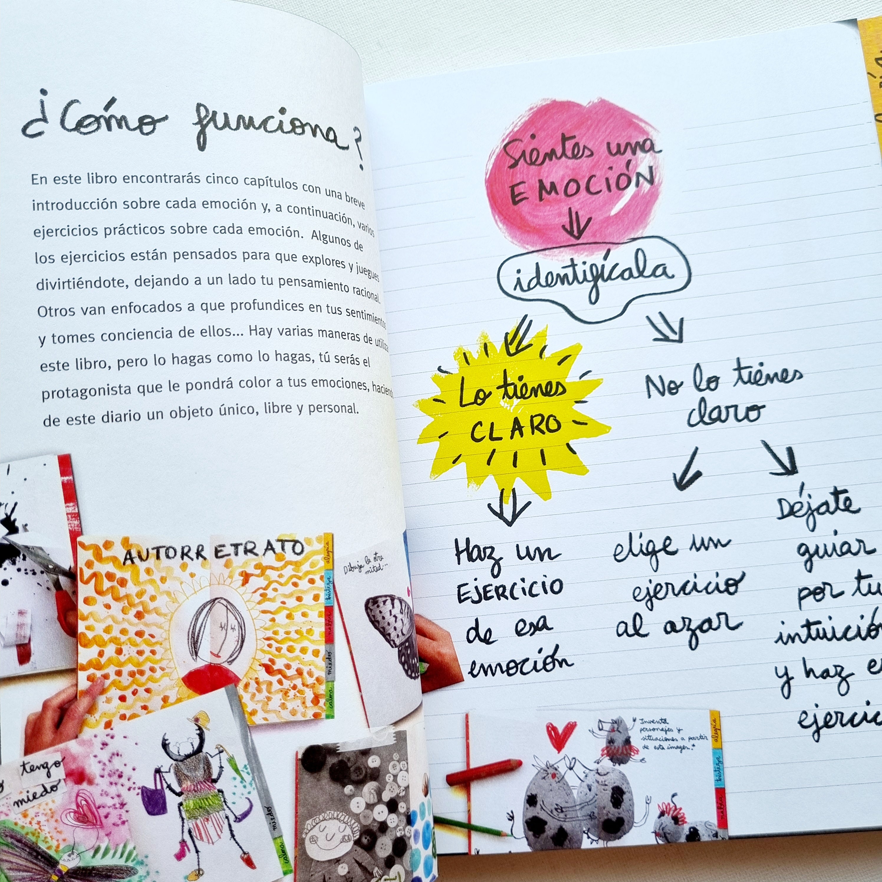 Diario de las emociones ( Edición con solapas)