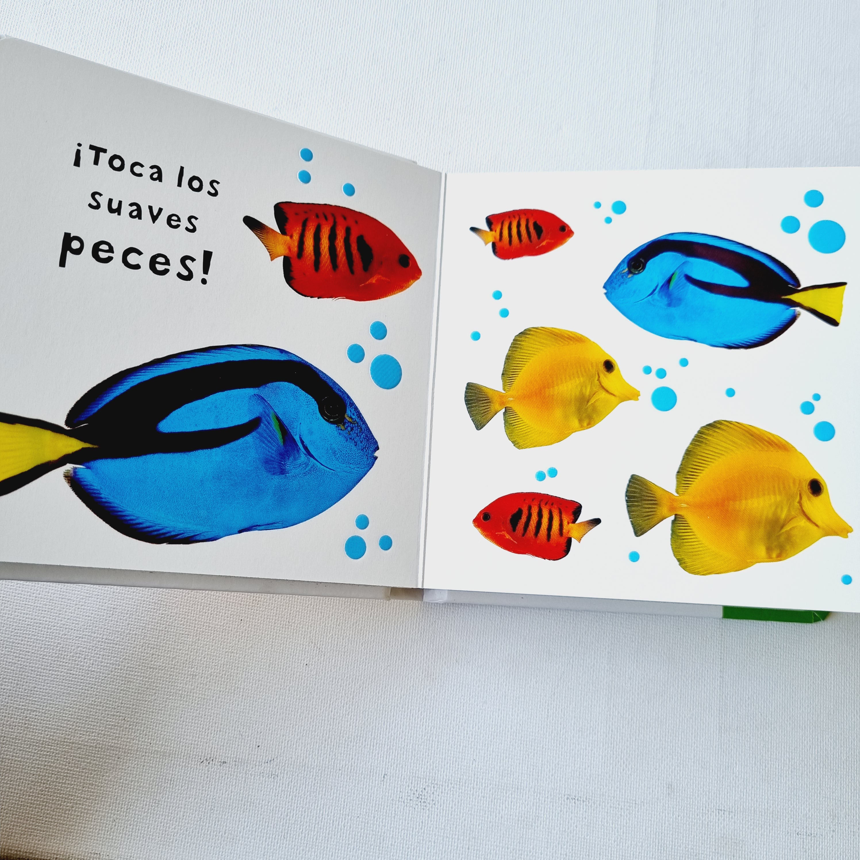 Animales. Mira, toca, siente