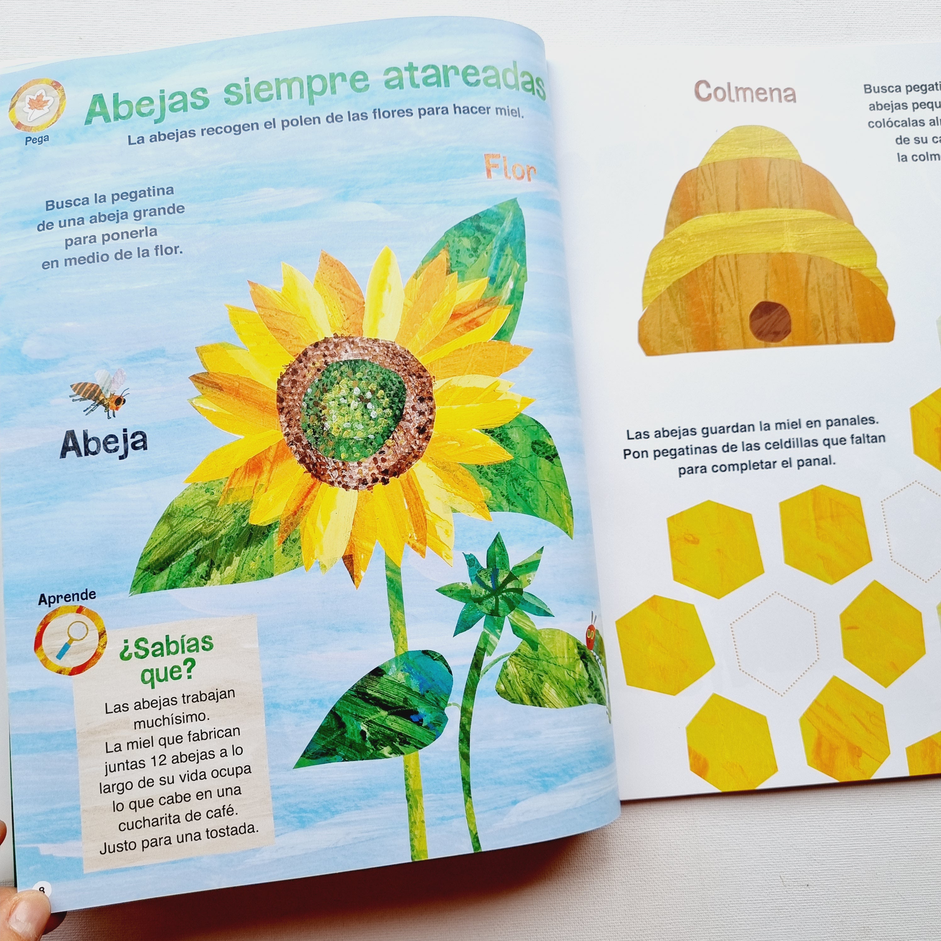 Peluche de La oruga glotona + libro de actividades en su entorno natural.