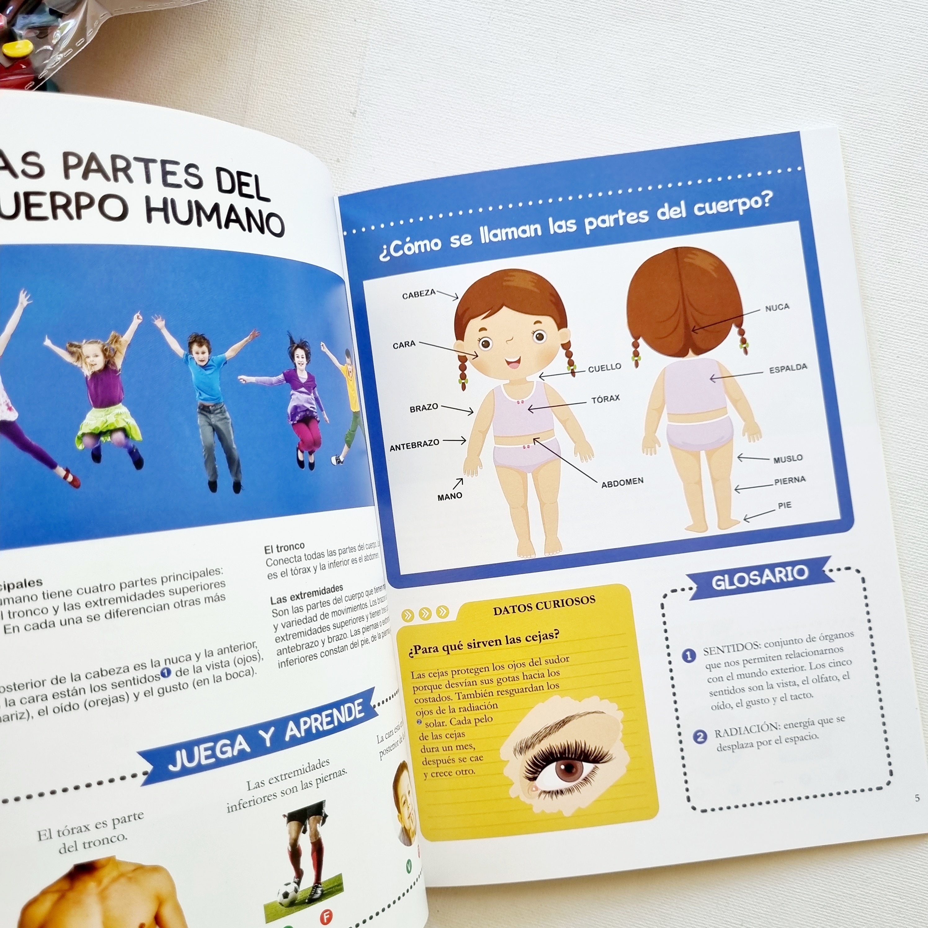 Descubriendo el cuerpo humano. Coleccion enlatados