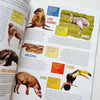 Atlas de animales con stickers