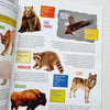 Atlas de animales con stickers