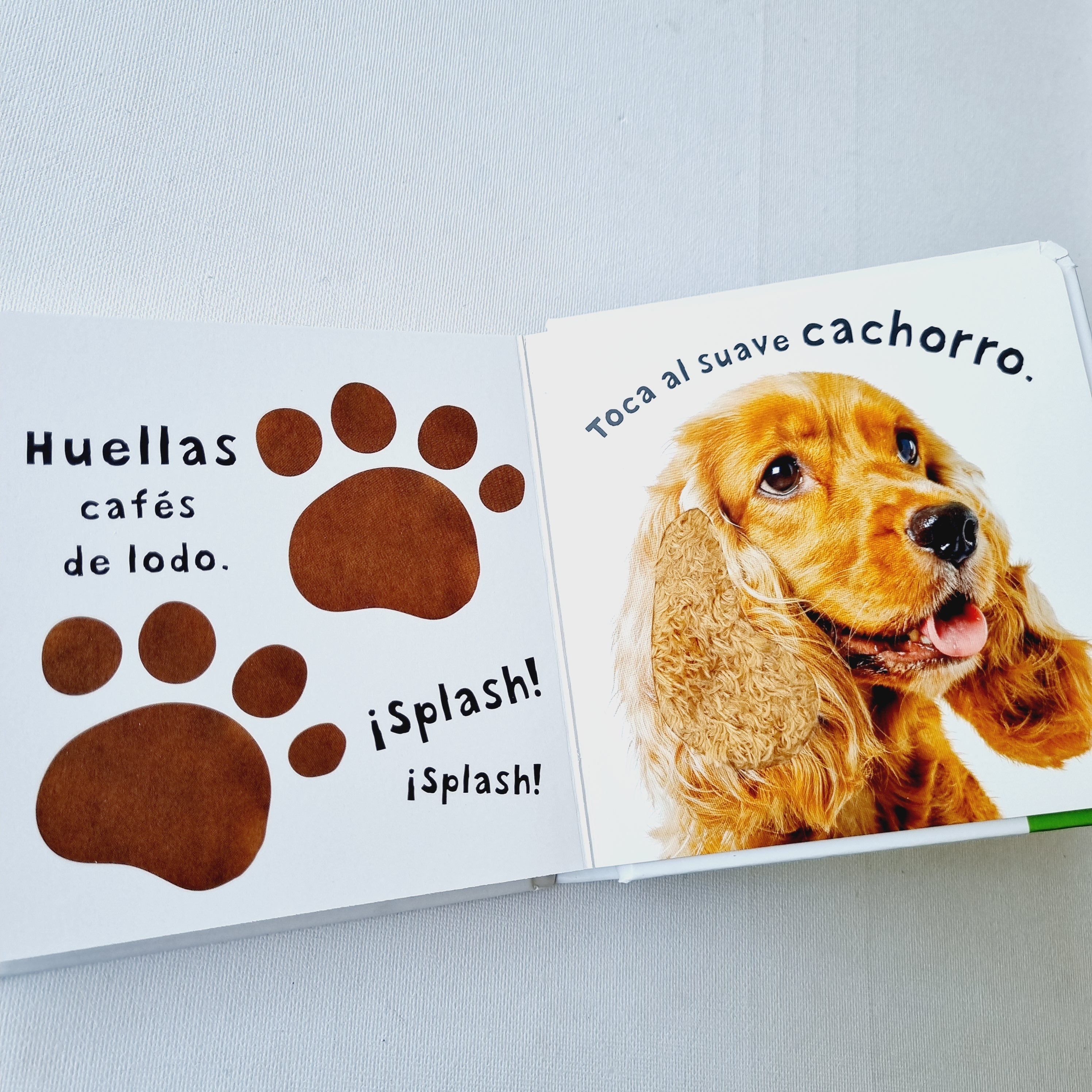 Animales. Mira, toca, siente