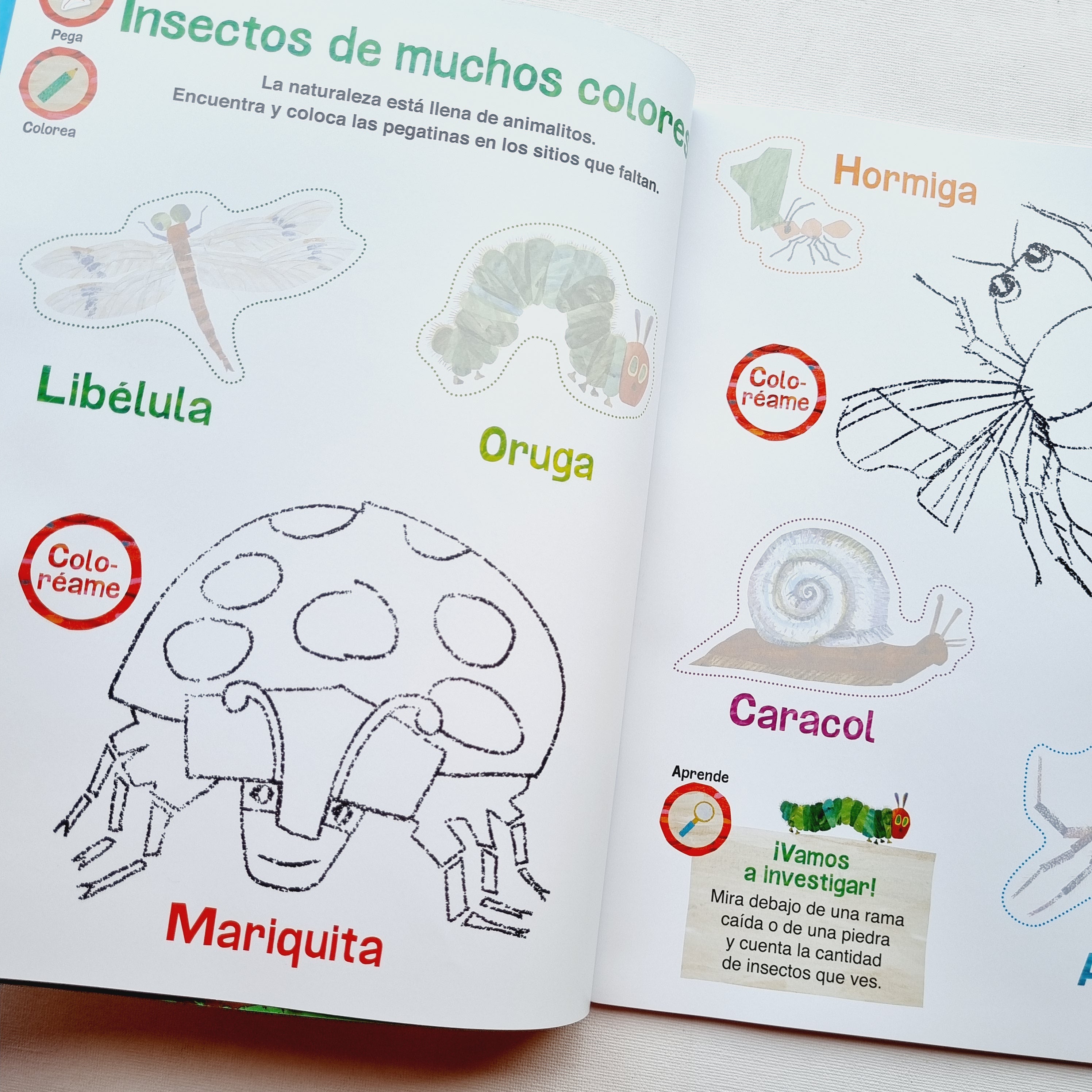 Peluche de La oruga glotona + libro de actividades en su entorno natural.