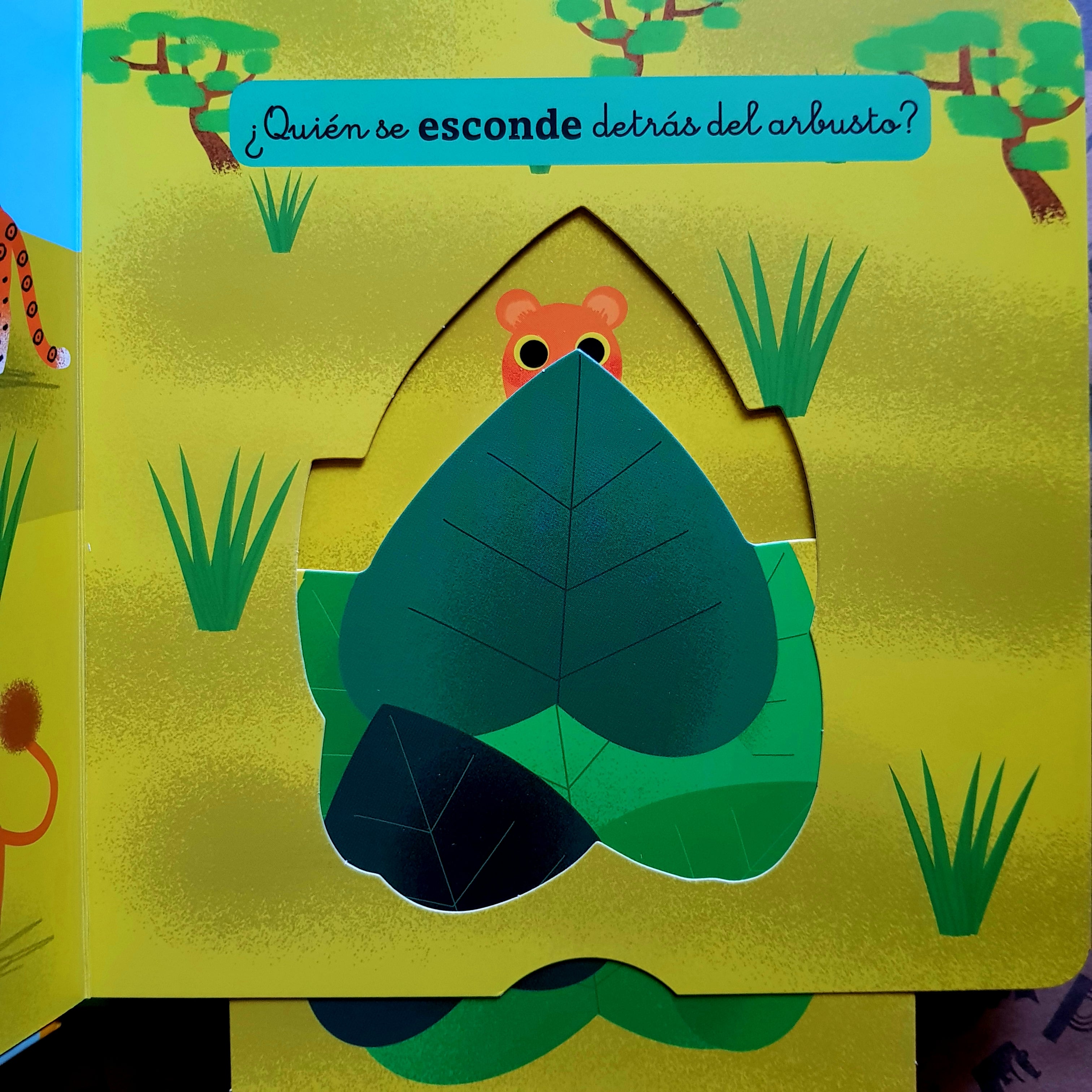 La selva y la sabana. Mis animágenes