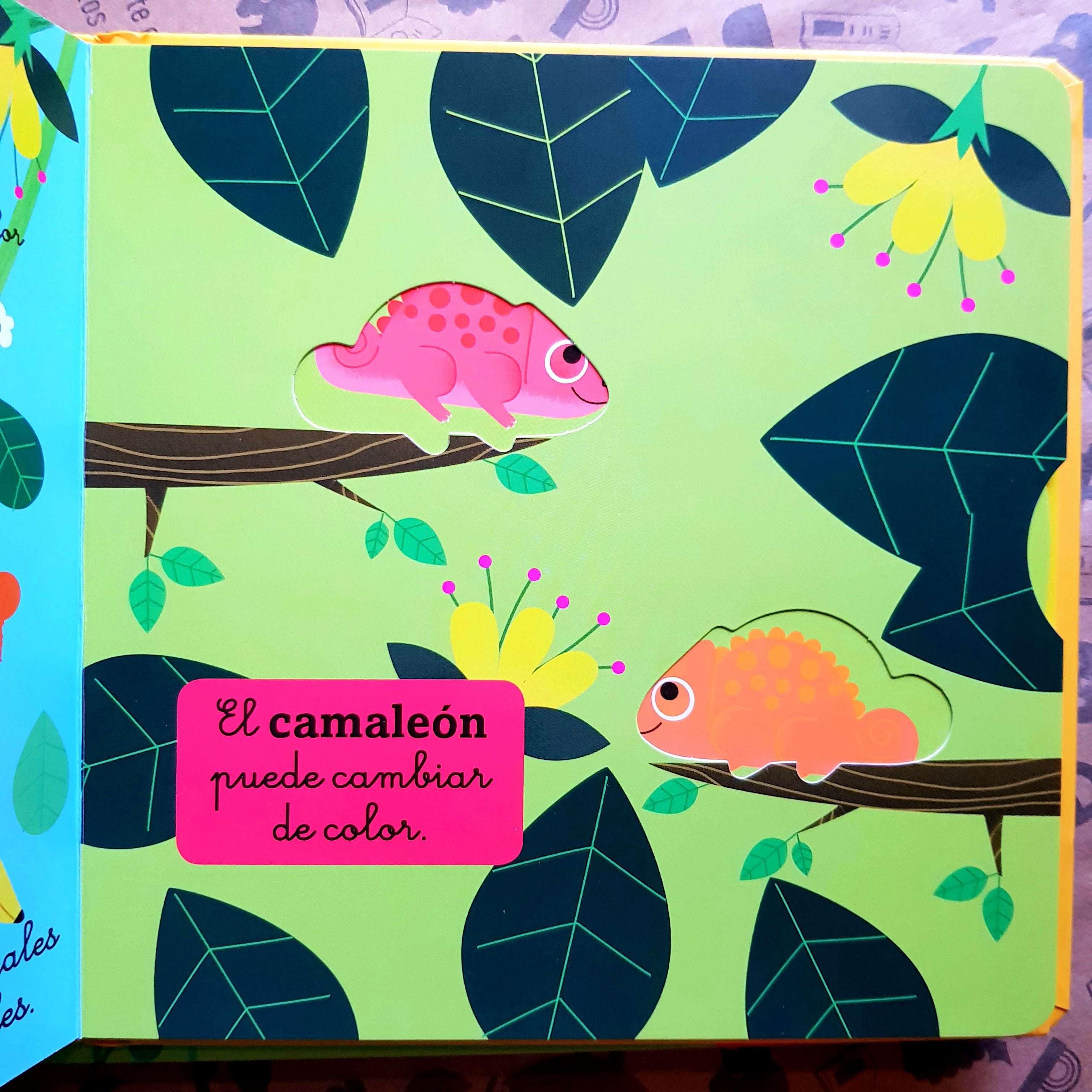 La selva y la sabana. Mis animágenes