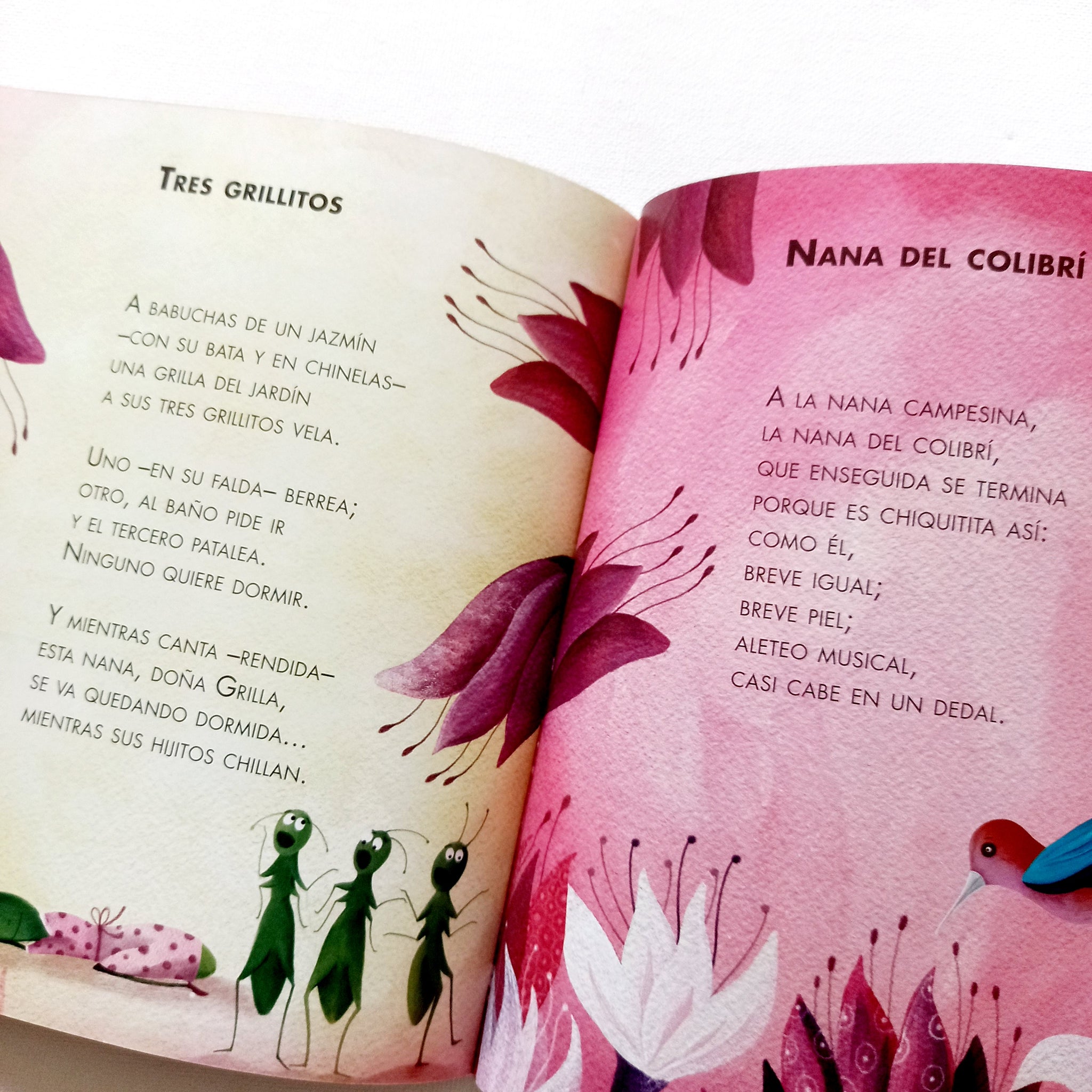 Libros infantiles – LEER DESDE LA CUNA