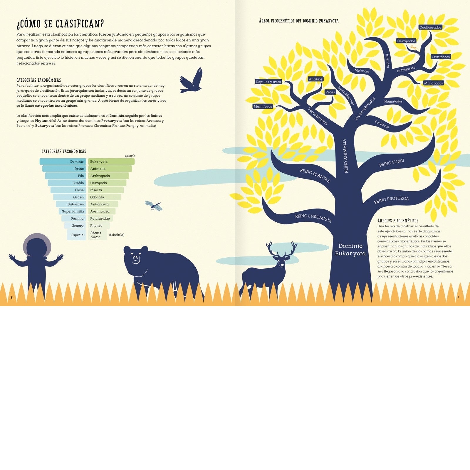 Insectopedia - Abrecuentos