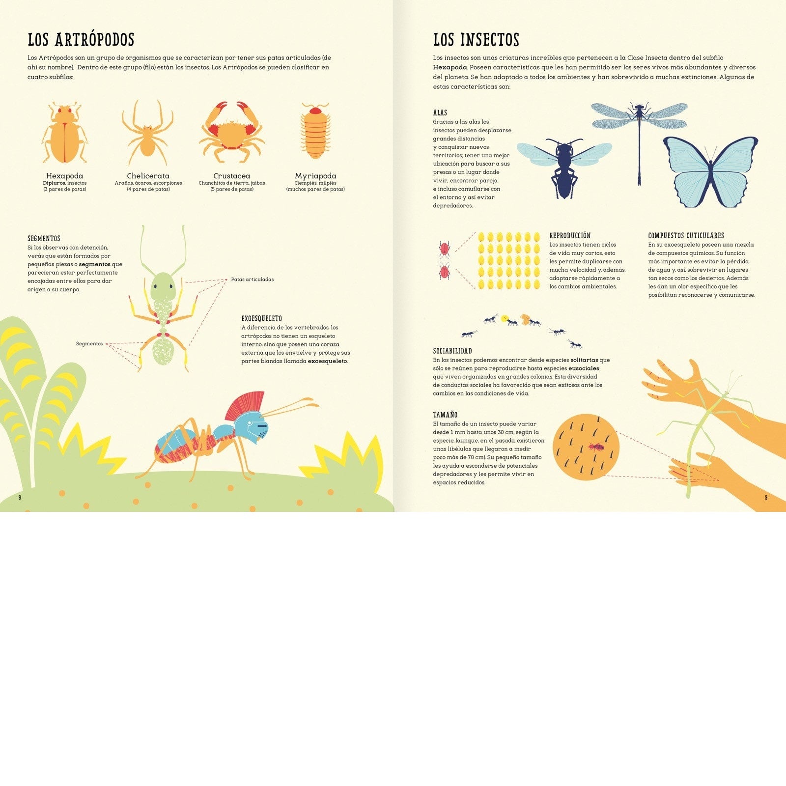 Insectopedia - Abrecuentos