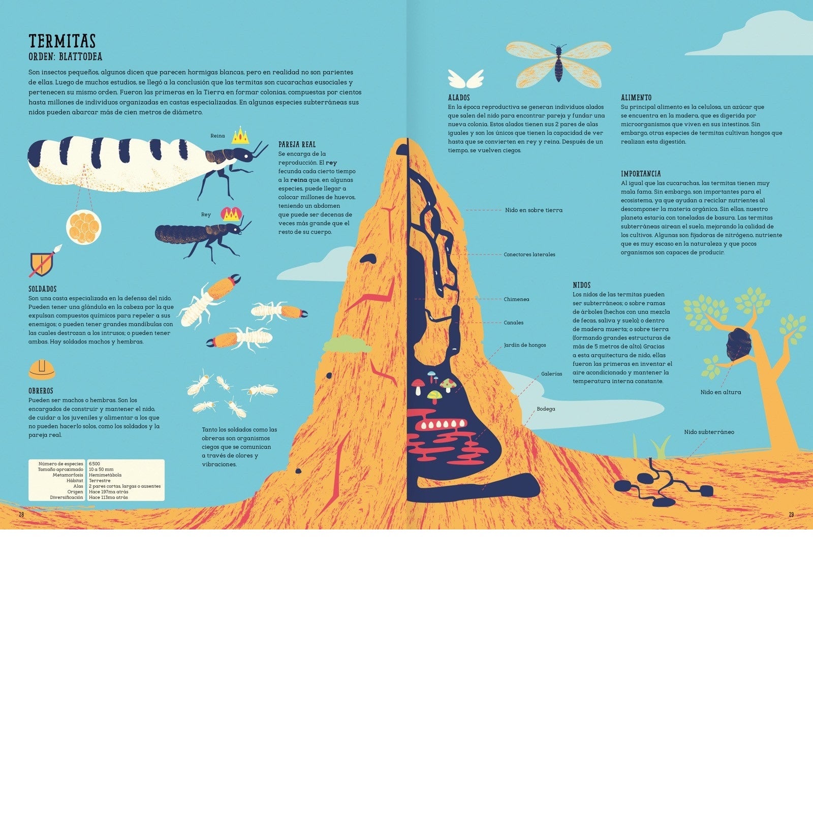 Insectopedia - Abrecuentos