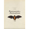 Animalium