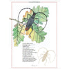 Inventario Ilustrado de Insectos
