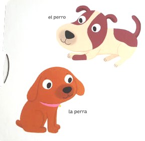 Mi libro de las mascotas. Pequeños curiosos