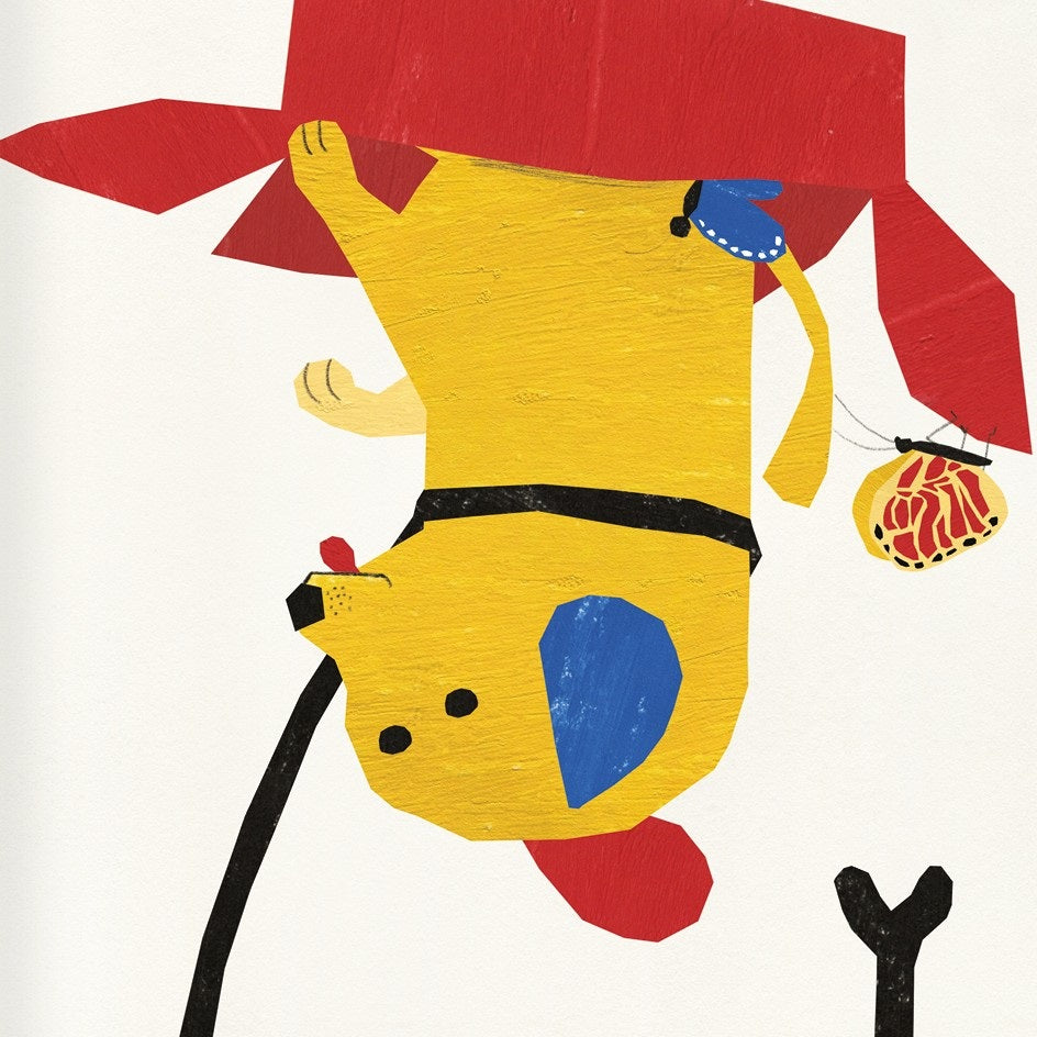 Mascotas